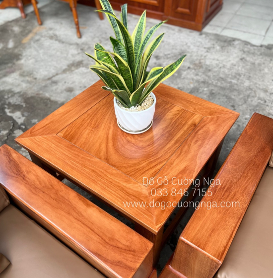 Bàn Ghế Sofa Gỗ Gõ Đỏ Cao Cấp - 2 Văng Kèm Nệm 