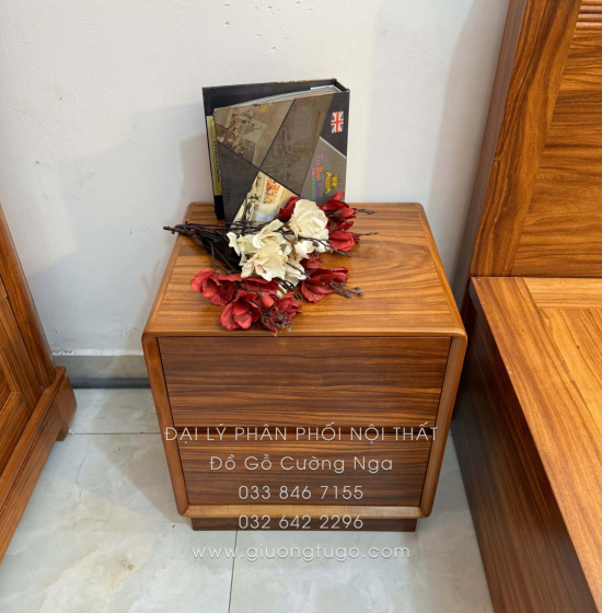 Tủ Táp Đầu Giường Gỗ Cẩm Vân 2 Ngăn Kéo Hiện Đại