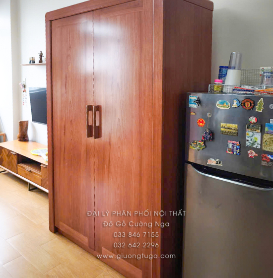 Tủ Quần Áo Gỗ Xoan Đào 2 Cánh 1m2 Mẫu Trơn